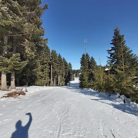 Elifim 4* Bolu